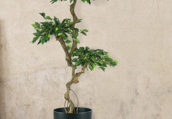 kuntsplant-kunstboom-goedkoop-woonkamer-nep-plant